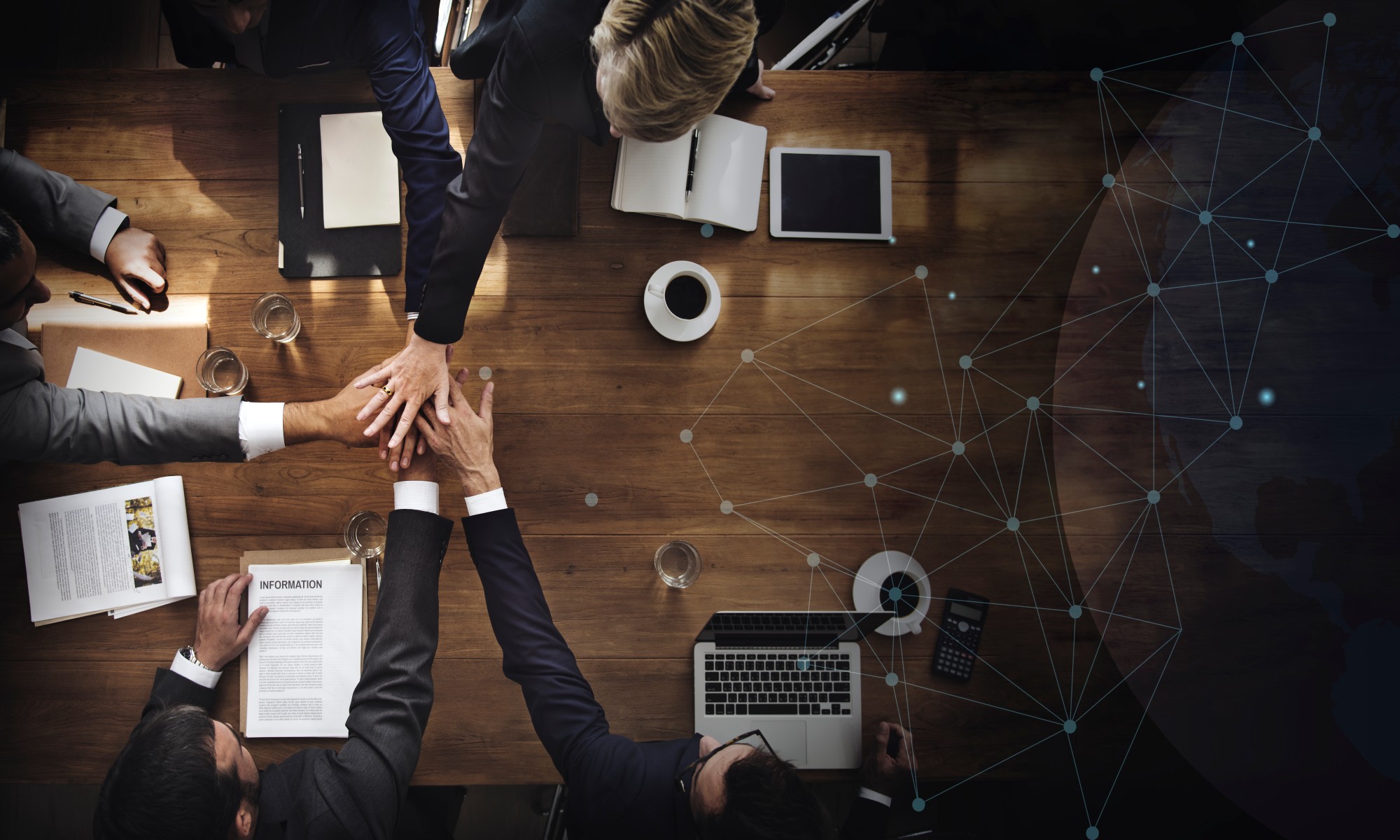 MahiZone digital platform for businesses and opportunities
